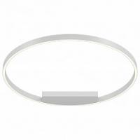 Накладной светильник Maytoni Rim MOD058CL-L50W4K. Фото №1