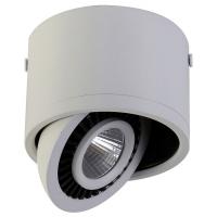 Накладной светильник Favourite Reflector 1776-1C фото Накладной светильник Favourite Reflector 1776-1C