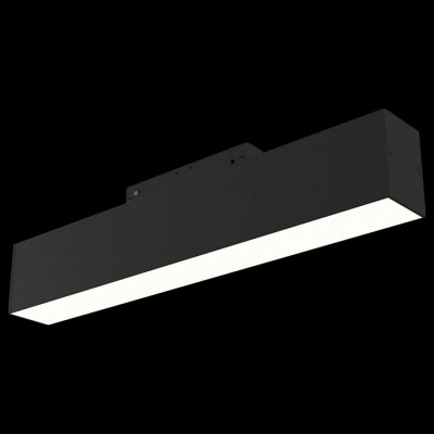 Накладной светильник Maytoni BASIS TR012-2-12W3K-B. Фото