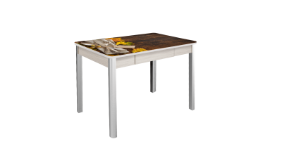 Стол Триумф 1000 не раздвижной. Фото