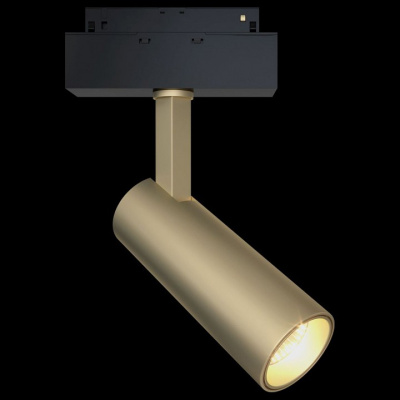 Светильник на штанге Maytoni Focus LED TR019-2-10W4K-MG фото Светильник на штанге Maytoni Focus LED TR019-2-10W4K-MG. Фото №2