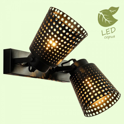 Спот Lussole Erie GRLSP-9835. Фото