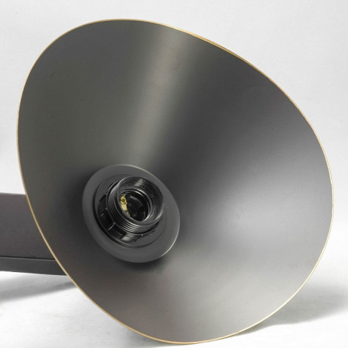 Потолочная люстра Lussole Opelika LSP-9535. Фото №2