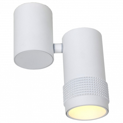 Спот Favourite Kinescope 2453-1U. Фото